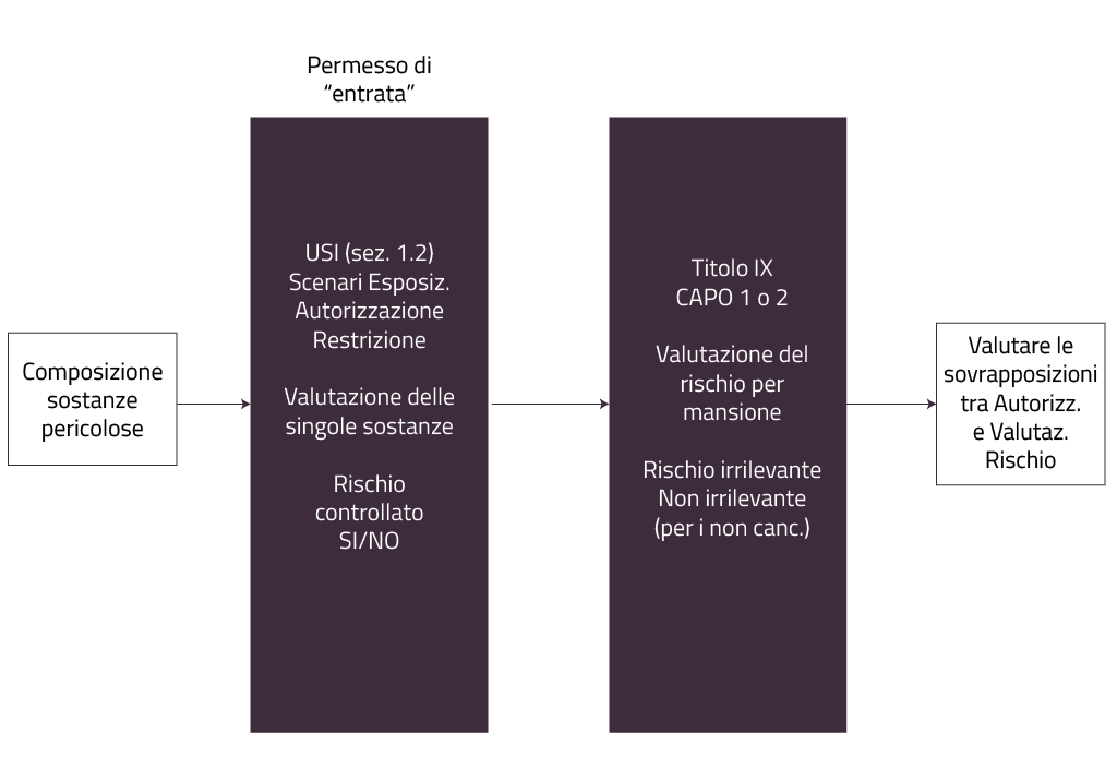 Autorizzazione REACH - Figura 1